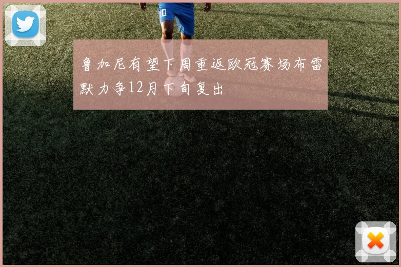 鲁加尼有望下周重返欧冠赛场布雷默力争12月下旬复出